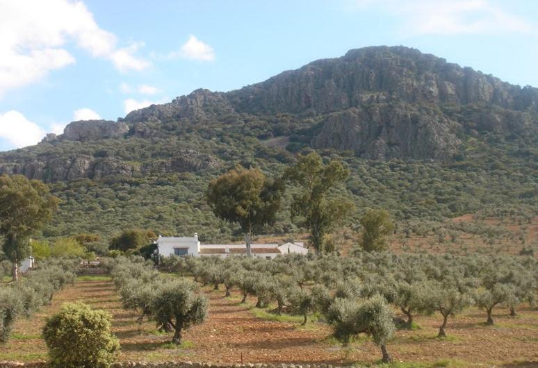 Casa Rural Sierra De Mampar Hornachos Eksteriør billede
